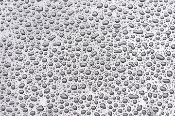 Water drops with carborundum inside.