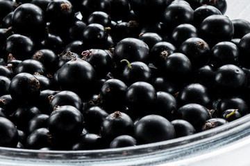 black currant