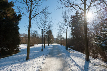 A sunny winter day in the park