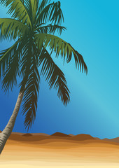 desert with palm