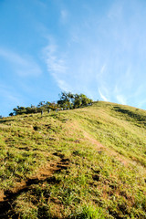People climbing to the hill