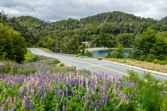 National Route 40 Or RN40