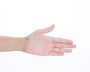 Hands on a white background