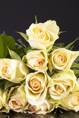  Bouquet of yellow roses on black background.