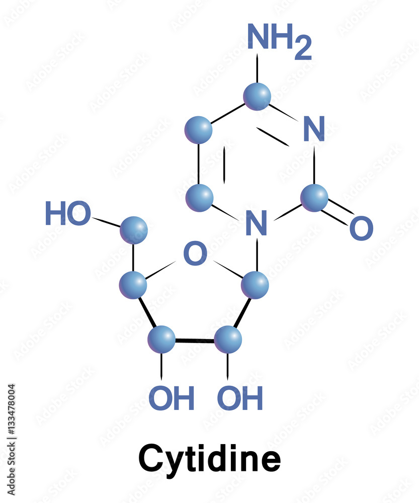 Sticker Cytidine is a nucleoside molecule that is formed when cytosine is attached to a ribofuranose N1-glycosidic bond. It is a component of RNA. 