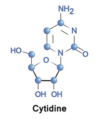 Cytidine is a nucleoside molecule that is formed when cytosine is attached to a ribofuranose N1-glycosidic bond. It is a component of RNA. 