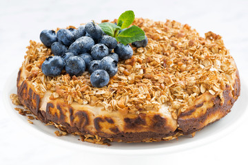 cheese pie with oat flakes, closeup