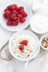homemade cottage cheese with raspberry, milk and yogurt 