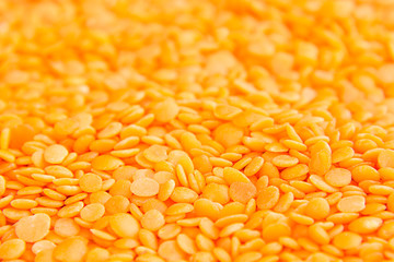 Red purified lentil macro background. Healthy protein food.