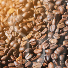 Coffee beans with sunlight in morning.