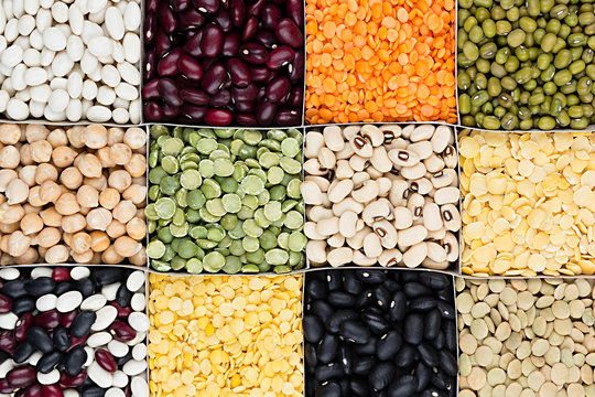 Pulses food background, assortment  - legume, kidney beans, peas, lentils in square cells closeup top view. Healthy protein food.