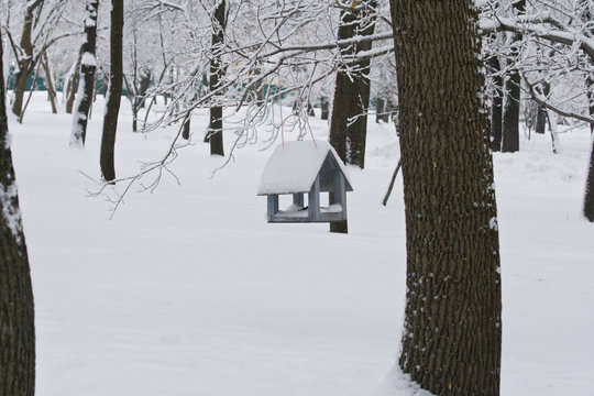 Деревянная Кормушка для птиц висит на дереве зимой