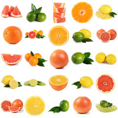 The fresh lemon  isolated on a white background