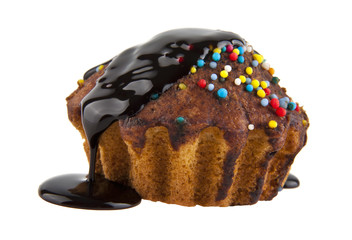 cake in a chocolate