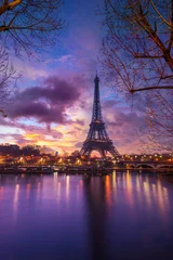 Foto op Canvas The Eiffel tower at sunrise in Paris © Netfalls