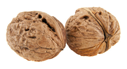 walnuts
