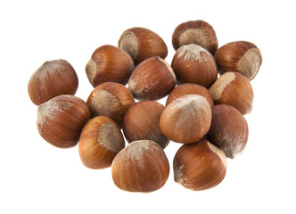 hazelnuts