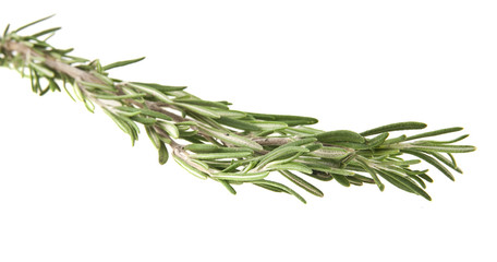 rosemary
