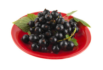 black currants in the red saucer