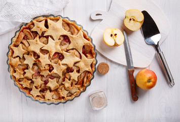 Homemade apple pie with cranberries and cinnamon