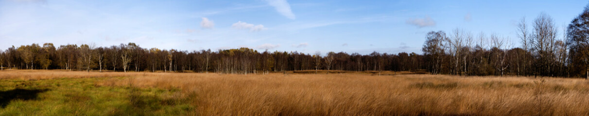 Panoramablick vom Dosenmoor in Schleswig-Holstein