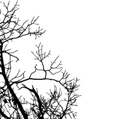 Vector black silhouette of a bare tree.