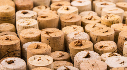 texture cork from wine bottles