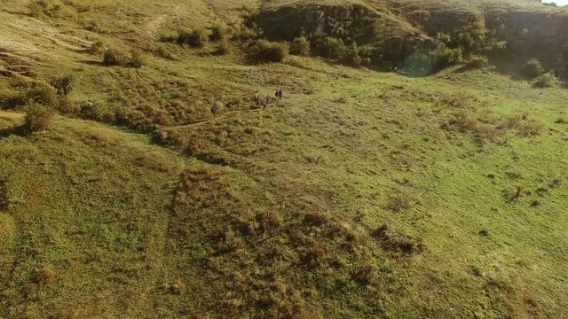 Group of tourists going to camp through cross country with green and yellow grass. Drone shot