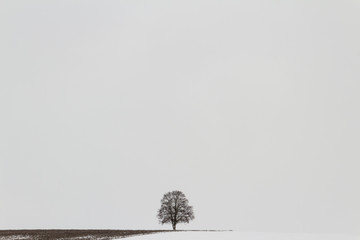 Einsam