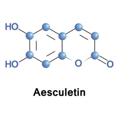 Aesculetin is a derivative of coumarin. It is a natural lactone that derives from the intramolecular cyclization of a cinnamic acid derivative.