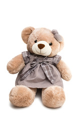 Big Bear soft toy isolated