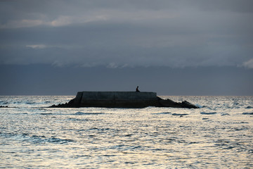 Fototapeta premium Monk Meditating on a Rock Island at Sea - Panglao, Bohol - Philippines