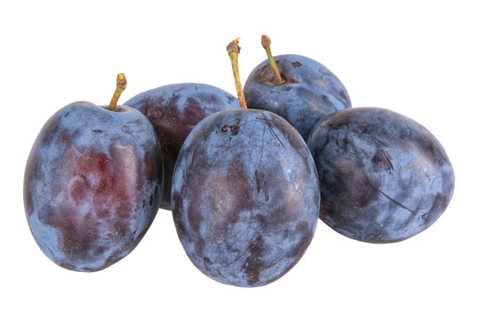 Blue plums on a white background