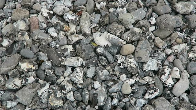 close-up of flintstone at rugen island chalk rock cliff