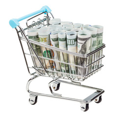 shopping-cart with dollar banknotes isolated