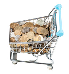 shopping cart with russian coins isolated