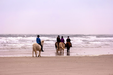 Reiter am Strand von Amrum