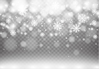 Winter with snow in transparent background