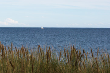 Sail boat in ocean