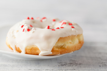 Single donut on white plate