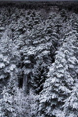 A beautiful winter landscape in nordic Europe in gray, overcast day - a view from watchtower