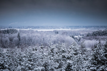 A beautiful winter landscape in nordic Europe in gray, overcast day - a view from watchtower