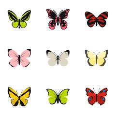 Types of butterflies icons set, flat style