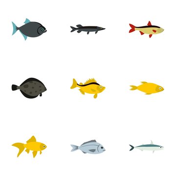 Tropical fish icons set, flat style