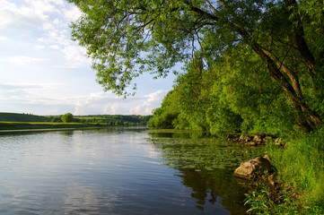  trees and a river