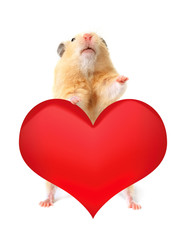 Hamster with heart