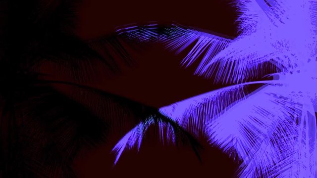 Club Visuals. Trippy Palm Tree Shapes on Colorful Flashing Background. VJ Footage