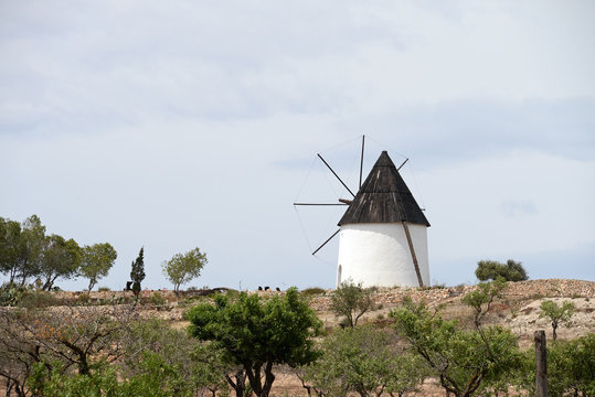 typische alte Windmühle im Naturreservat Cabo de Gata