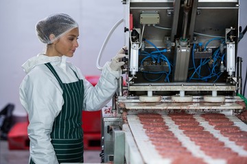Female butcher processing hamburger patty
