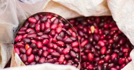 Red Beans in the can for sell at local market.
